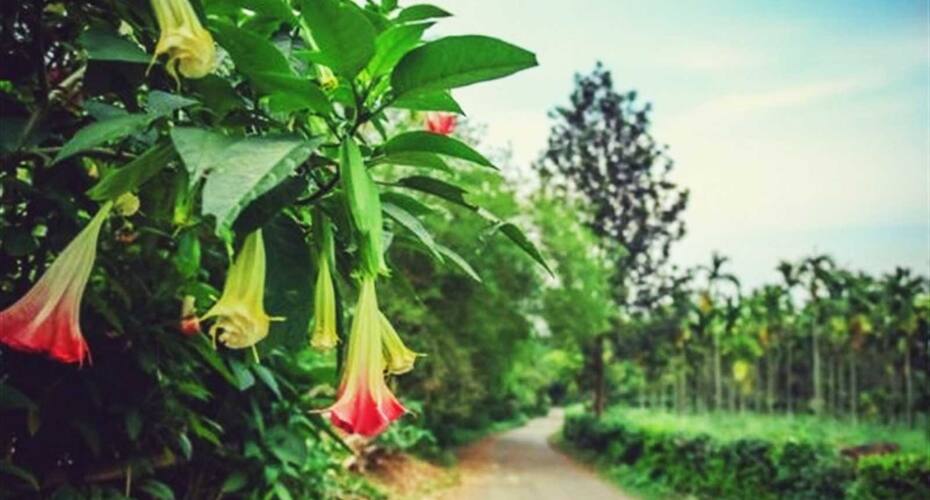 Namanvana Homestay, Coorg 3